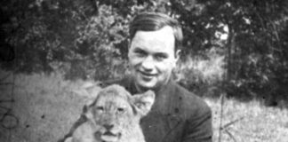 Tadej Karabowicz – Gdy kwiat opada w kałużę ogniem