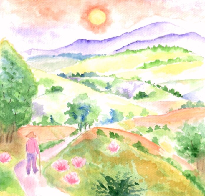 autor ilustracji Dorota Wabno
