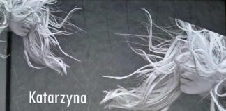 Alina Barbara Nowak – Poezja kobieca czy poezja kobiet?