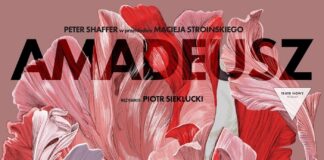 Janusz M. Paluch – Amadeusz – never ending story